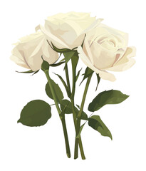 Fototapeta premium PNG White roses illustration flowers botanical.