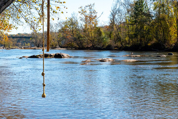 Rope swing hangs from a tree branch overlooking the James River in Richmond, Virginia. The calm river flows gently, with rocks protruding from the surface.  A bridge is visible in the background