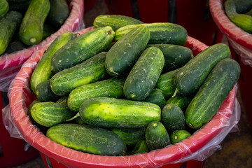 Bushel filled with fresh cucumbers on display at a farm market