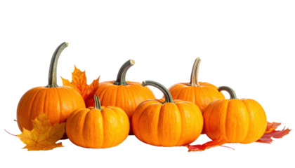 Assorted Orange Pumpkins with Autumn Leaves Displayed on Transparent Background for Seasonal Decor