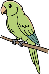 Cute Outline Handdrawn Pet Parrot on Branch Illustration Graphic