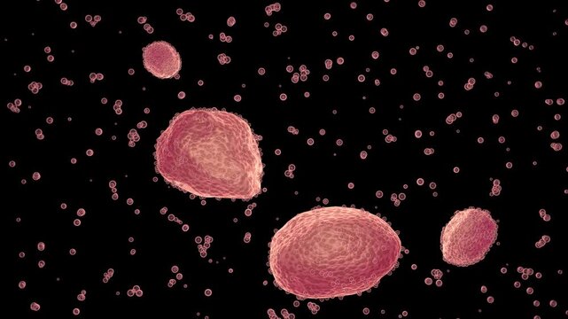 Xenobots swimming in liquid. Microscopic synthetic life. Biological robots. Biodegradable soft robotics. Programmable artificial life.  3d render animation.