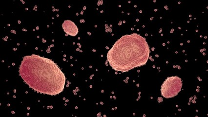 Xenobots swimming in liquid. Microscopic synthetic life. Biological robots. Biodegradable soft robotics. Programmable artificial life.  3d render illustration.