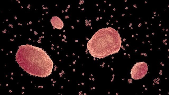 Xenobots swimming in liquid. Microscopic synthetic life. Biological robots. Biodegradable soft robotics. Programmable artificial life.  3d render illustration.