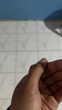 A glowing firefly resting in a gently cupped hand indoors, its yellow bioluminescent light illuminating the palm in a calm, intimate close-up scene.