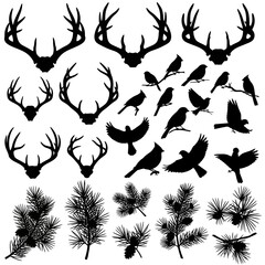 Silhouette Collection of Deer Antlers Bird Flocks and Pine Branches for Nature Design