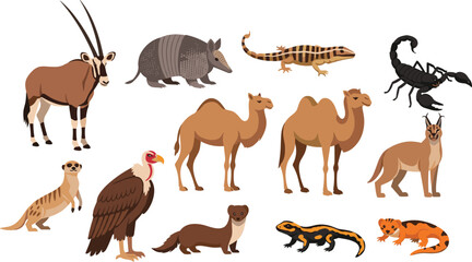 Collection of desert animals illustrated in vector style including camels, reptiles, birds, mammals, and insects isolated on white background