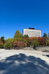 青空と秋の仙台市勾当台公園から見上げる宮城県庁