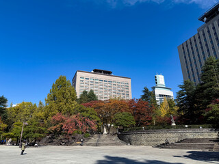 青空と秋の仙台市勾当台公園から見上げる宮城県庁