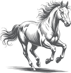 Dynamic Gallop: Black and White Horse in Motion