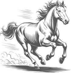 Dynamic Gallop: Black and White Horse in Motion