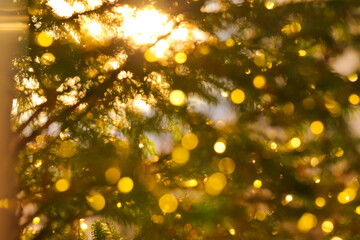 Close-up of a Christmas tree adorned with fairy lights.Christmas Tree Branches with Fairy Lights