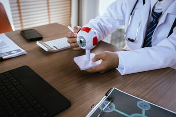 Doctor explaining eye anatomy using a detailed eyeball model during a medical consultation.