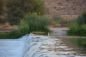 small waterfall in a river