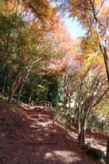 伊豆 一碧湖の秋。大池紅葉広場。