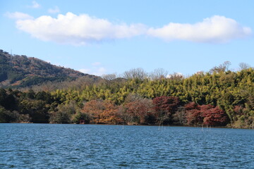 伊豆 一碧湖の秋。大池。