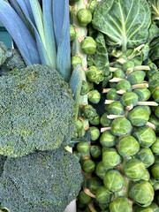 Broccolis and Brussel sprouts