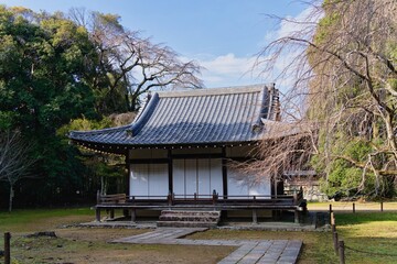 Naklejka premium Maple Leaf Festival - Autumn at Daigo-ji Temple 