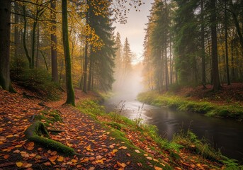 Scenic autumn woodland path beside a misty river surrounded by vibrant fall foliage