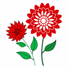 chrysanthemum red gazania line art flower vector 
