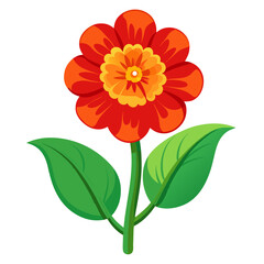 calceolaria kentish hero on white background