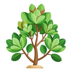 Obraz premium cushion spurge modern on white background