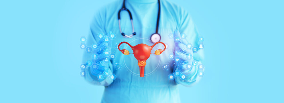 Gynecologist examining a uterine model against a light blue background. Concept of cervical cancer screening and Pap test awareness. HPV. 3D model of a cervix with cancerous cells.