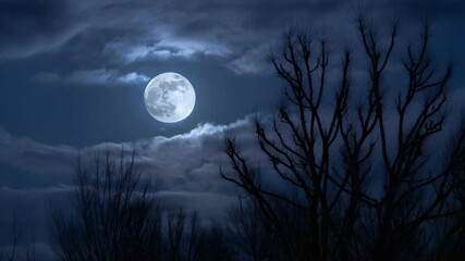 Eerie full moon illuminates dark night sky casting dramatic shadows through the stark silhouettes of bare tree branches creating a mysterious atmosphere