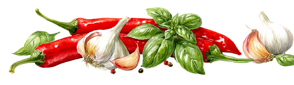 Arrangement of Red Chili Peppers Garlic Cloves and Fresh Basil Leaves on Transparent Background, PNG