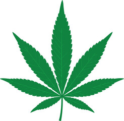 Highly detailed green vector illustration of a single marijuana or hemp leaf, emphasizing natural texture and legal use in the growing medicinal and wellness market
