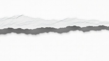 Abstract graphic design featuring a stylized, jagged torn paper edge effect with a subtle shadow, creating a modern and versatile divider or background element on a clean white background