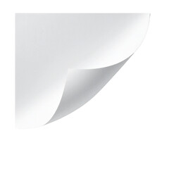 Page Curl: A minimalist view showing a curled corner of a blank paper, offering a hint of anticipation, unveiling a world of untouched possibilities.