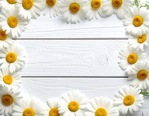 Daisy arrangement on a white wooden surface. Daisies frame the picture, creating a border around negative space. The floral arrangement provides a clean, natural aesthetic
