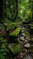 Obraz premium A serene forest scene featuring a moss-covered bench beside a gentle stream, surrounded by lush greenery.