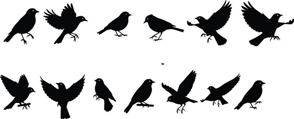 Silhouette birds collection in various poses, flying and perched bird icons, black bird shapes for nature illustrations, wildlife graphic design elements
