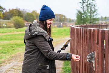 Russian female tourist blogger feeding a goat on a rural farm while recording a video with a selfie...
