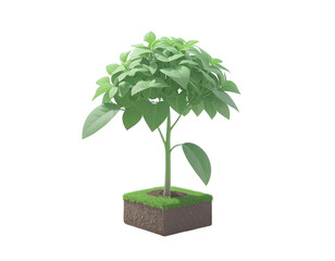Isometric plant 3d rendering