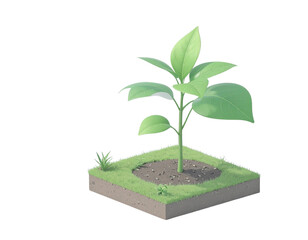 Isometric plant 3d rendering