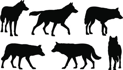 Group of Black Wolf Silhouettes in Various Poses on White Background animal