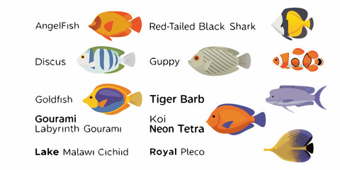 Colorful aquarium fish illustrations angelfish discus goldfish and more species shown