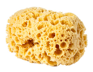 Soft Yellow Sponge with Irregular Holes on White Background