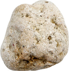Porous Coastal Rock Isolated on Transparent Background
