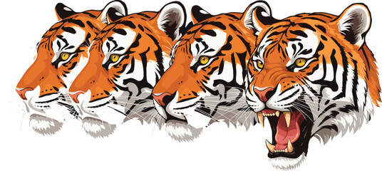 Intense Vector Set of Tiger Heads Showing Different Expressions, Including Roaring, Aggressive, and Determined Poses, Ideal for Sports Mascot Logos and Wilderness Branding