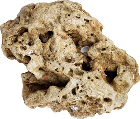 Porous Coastal Rock Isolated on Transparent Background