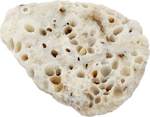 Porous Coastal Rock Isolated on Transparent Background