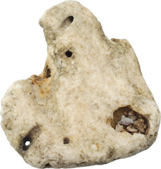 Porous Coastal Rock Isolated on Transparent Background