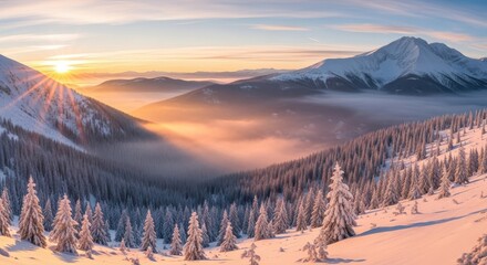 Sunny winter mountain landscape with snowy pine trees and mist in the valley