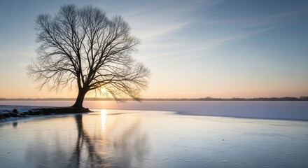 Bare tree silhouette on a frozen lake shore during a colorful winter sunset