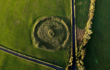 Circular earthwork, probably Bronze Age disc barrow or henge, amid tumuli 300m outside east end of Eggardon Hill Iron Age hillfort, Dorset
