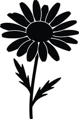 Simple black daisy flower illustration on transparent background silhouette